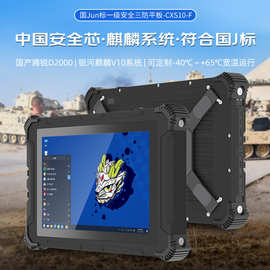 辰想10.1寸CXS10-F 三防平板电脑飞腾D2000 国产银河麒麟系统