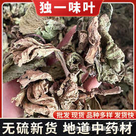 无硫独一味叶中药材 新货无硫干货 粉茶大巴叶 根 打布巴