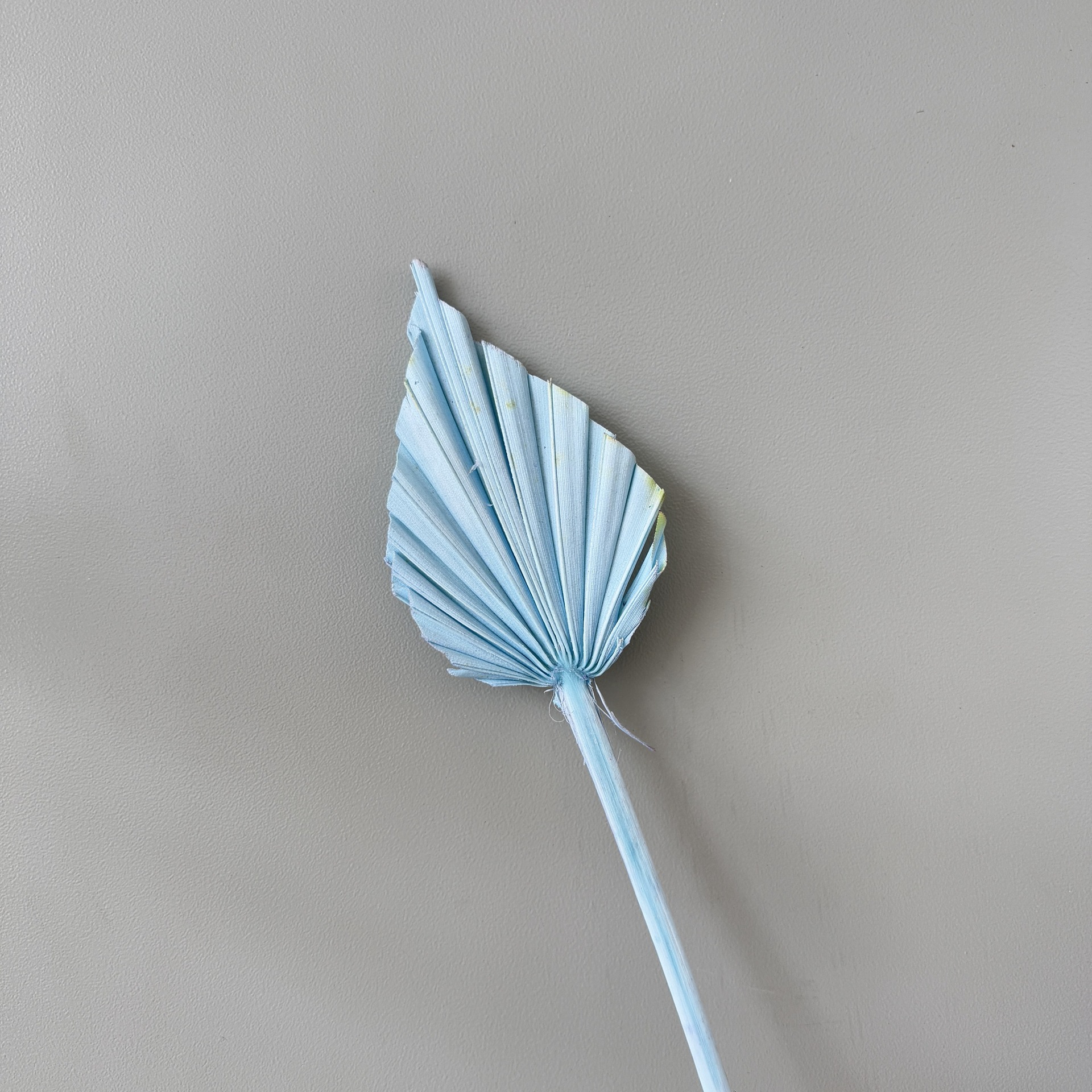 미니 라이트 블루