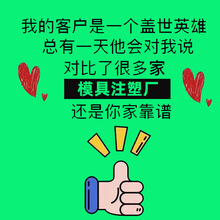 【江苏】塑胶模具注塑加工 费用合理经济快速双色注塑包胶模具厂
