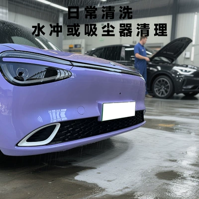 Dongfeng Nano 01 snap-on Automobile anti-insect net