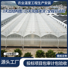 农用瓜果种植蔬菜大棚连栋大棚骨架遮阳简易薄膜温室连栋温室大棚