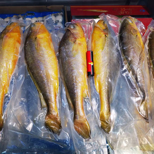 ���l ���º���������S���~����20�l���� �~��r��Y���Ƶ����