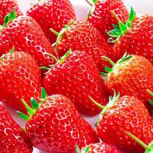 奶油甜莓99現摘新鮮紅顏牛奶大莓當季時令孕婦水果整箱現貨網紅