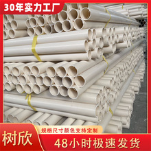 PVCݲͲS @ݲSоͲ PVCϱĤSо