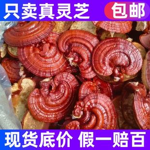 ɽ�|�F؛���l�t�`֥�������`֥���`֥�`֥��Ƭ�`֥�a��ֱ�l