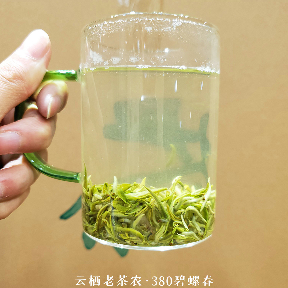 380碧螺春茶汤原图