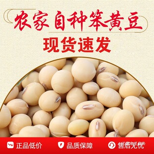 ��Ʒ�N�S���r���ԷN�S�������S�����S�����{ԭ������