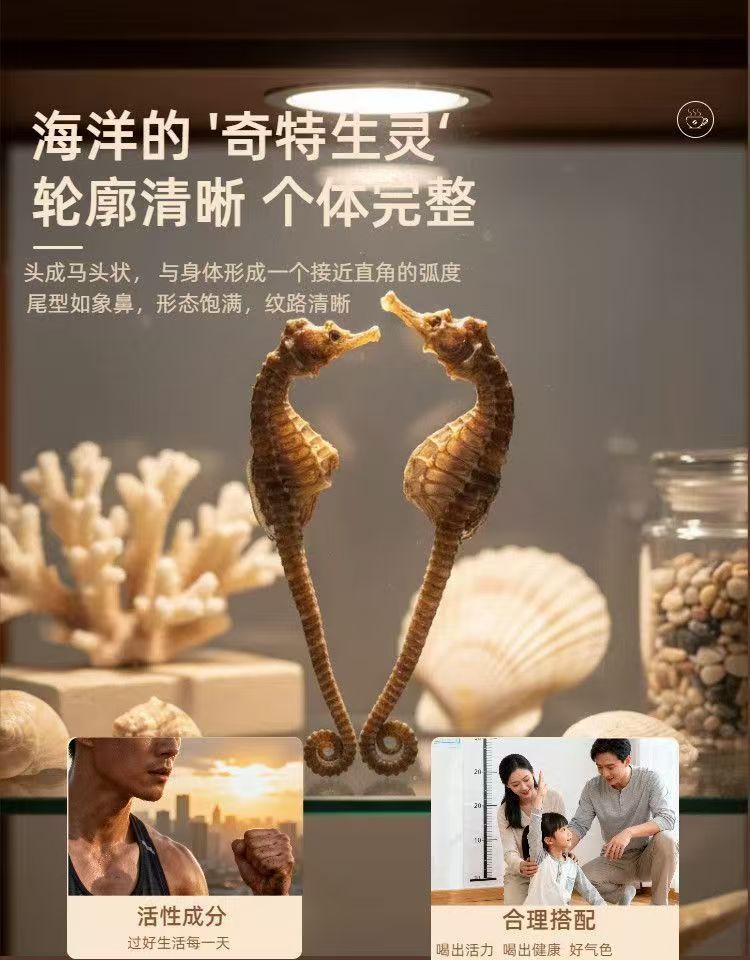 Dried Seahorse Hai Ma 3-4g Whole Dried Sea Dragon Tonic Herb for Culinary and Traditional Use preparation