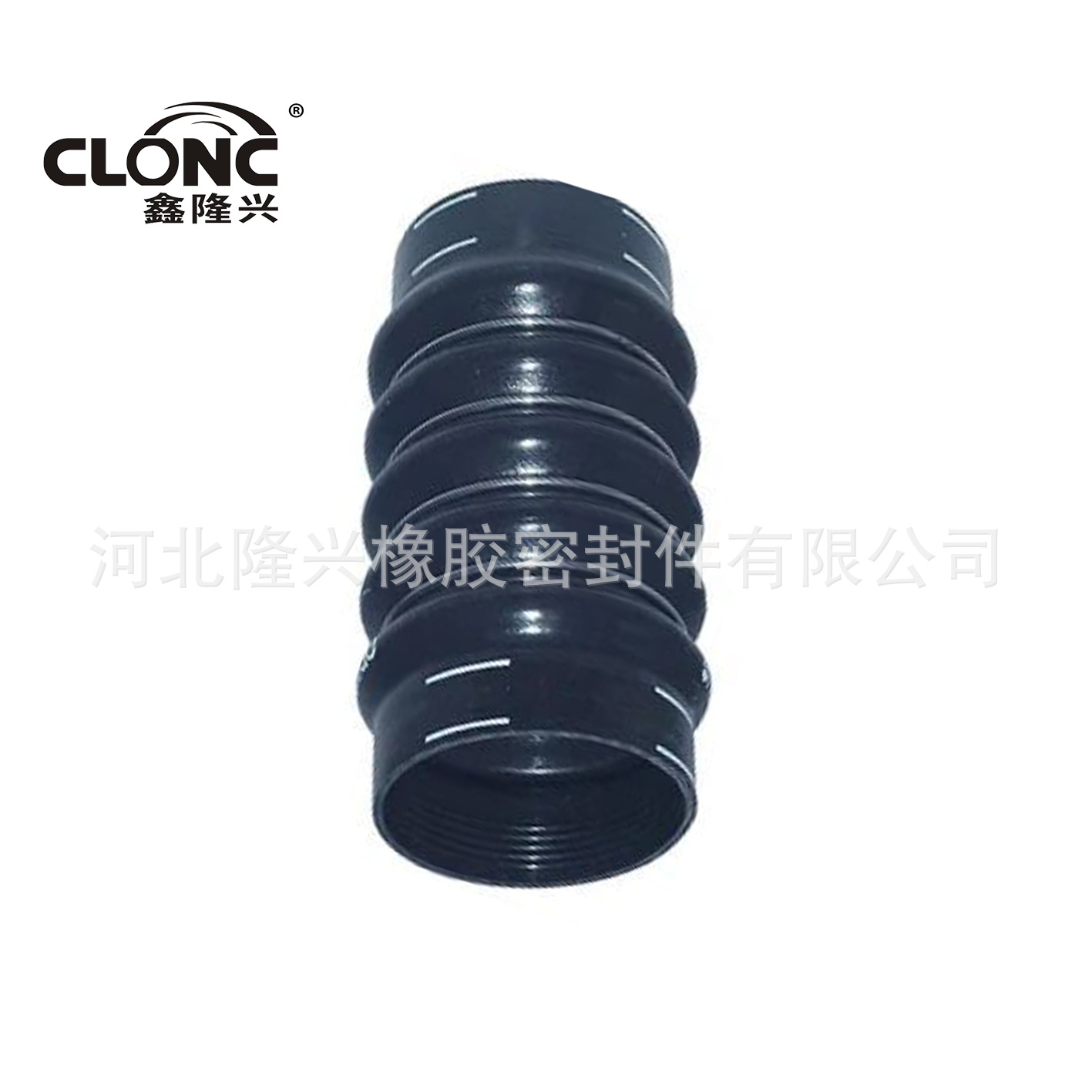 隆兴 适用于斯堪尼亚  S-Series 2192156,  2192155, 049.074