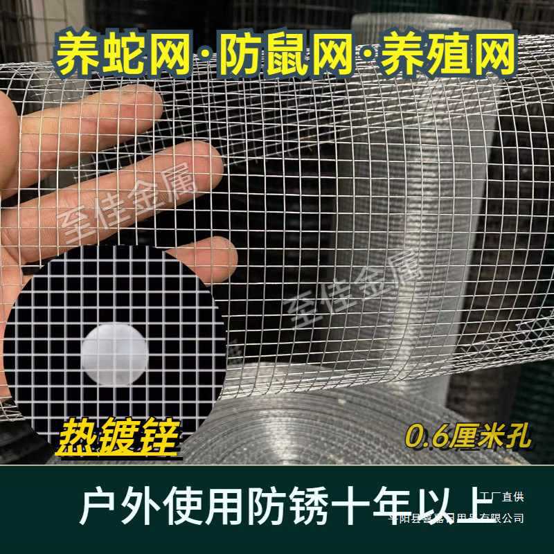 热镀锌防鼠防蛇钢丝网阳台防护鸽鸟兔笼网鸡鸭户外养殖防锈铁丝网