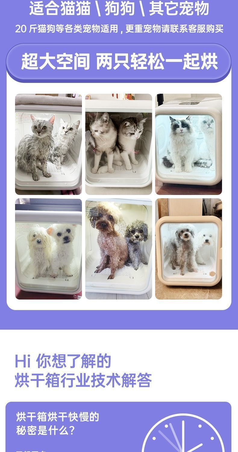 e211c833-9eba-4fe9-aa96-496f2c32d1fd.jpe