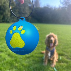 よく売れているペットのボールセットのシリコンのボールセットの犬のトレーニングのおもちゃのボールセットは犬のおもちゃのボールのテニスの保護カバーの現物を散歩します。