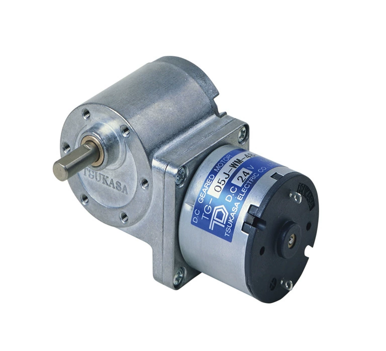TSUKASA Chicatha PT-DBLP1-100-KA, 24V DC мотор TG-55L-SV-100-HA