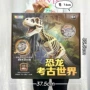 世界考古宝藏挖掘化石