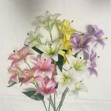 3�^�zƬ�ٺϷ��滨��Y��ˇ��c���üٻ��b��҃���ؔ[������