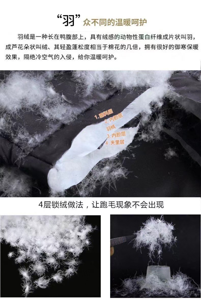 微信图片_202211211257027