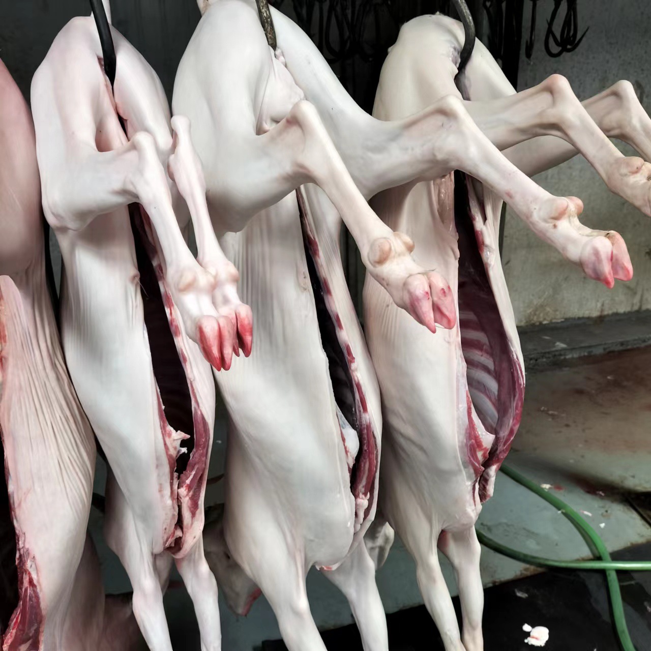 微信图片_20221014211040