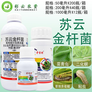 �ڼ����K녽�U������؝ҹ��ʮ�ֻ����߲˲����x��ƺճ�x���x��