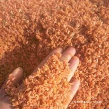 新货小海米500250克50克迷你虾米干货海虾仁干金钩海米 海鲜包邮