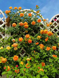 �����¼������ط��ˊW˹͡õ�����ٝ�����ļ��_��ͥԺ���Ի���