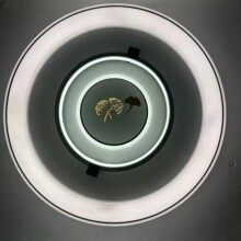 厚板双层简图玻璃吸顶灯广东中山灯具源头厂家外销出口