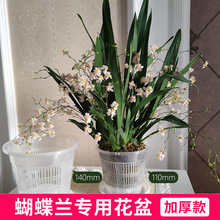 �ظ����m��������͸��͸���ˮ���������m������Gֲ�����滨����