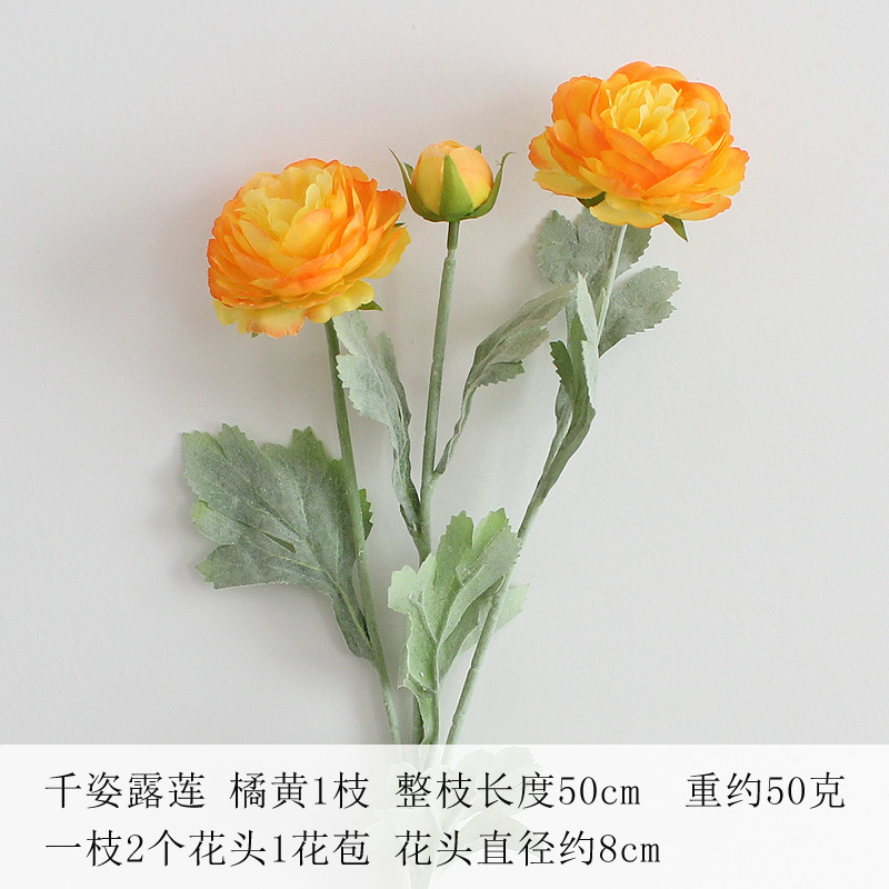오렌지