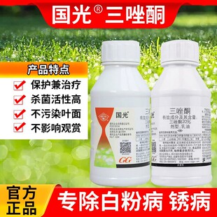 ��������ֱͪ�N��ޱ�¼��Nޱ����õ�嚢������P��ֲ��׷۲��P��
