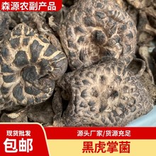 云南特产黑虎掌菌干货大货批发煲汤食材产地直发包邮天然营养优质
