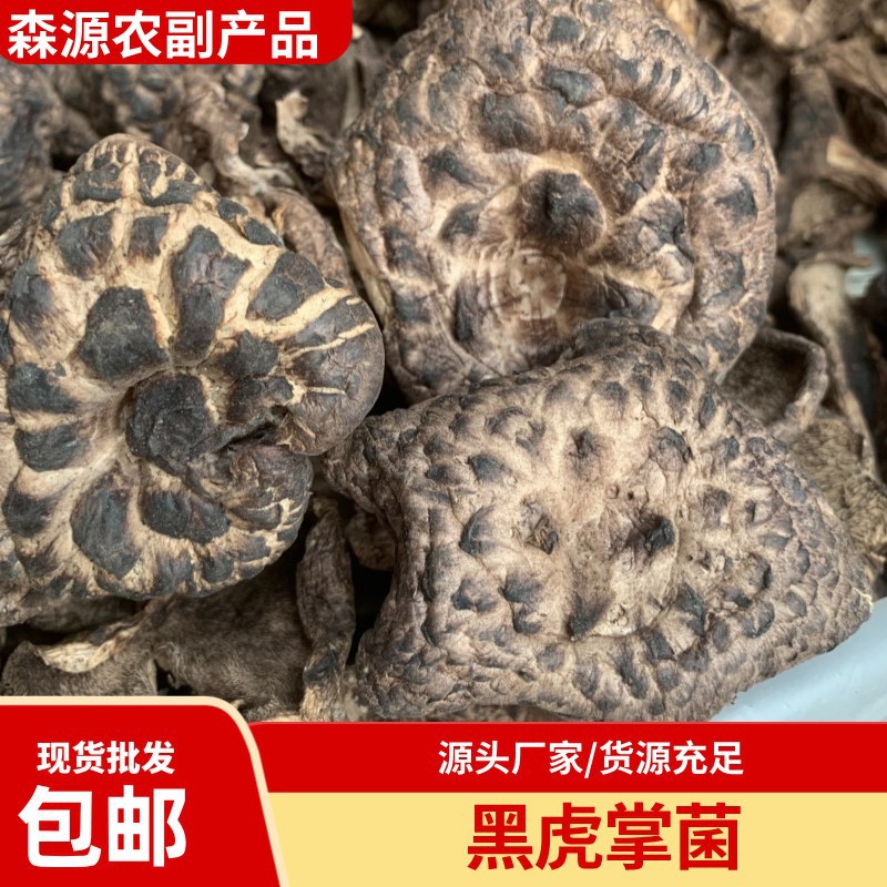 云南特产黑虎掌菌干货大货批发煲汤食材产地直发包邮天然营养优质