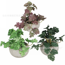 �F؛ܛ�z��������Ȼ���⼈�{���� �羳�҃ȼҾ�����[������Gֲ