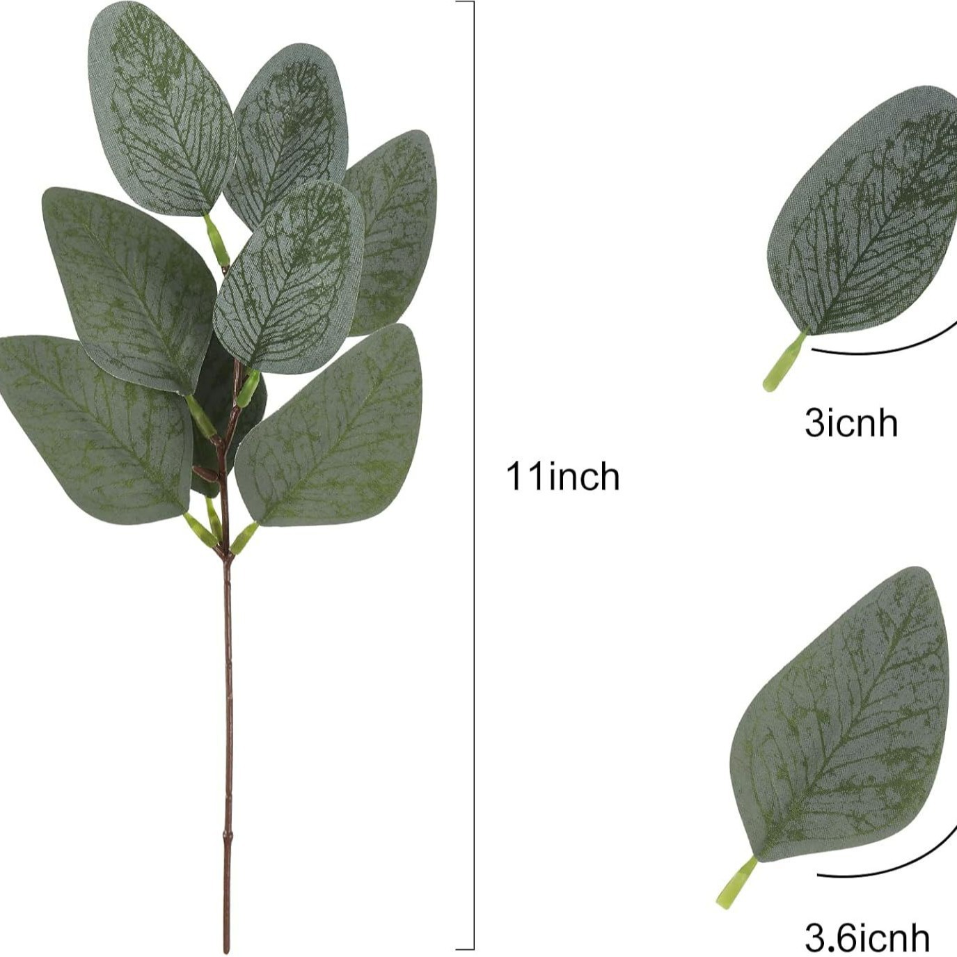 8개의 뾰족한 잎