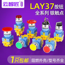�y�c���o�_�PLAY37-11BN ZS X2 M��λ���iĢ���^ƽ�^��ͣ���D22mm