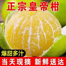 正宗广西皇帝柑贡柑特一级大果薄皮新鲜当季水果柑橘桔子沃柑甜