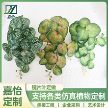 嘉怡定制镜片叶圆贝叶海棠壁挂仿真绿植 婚庆造景搭配装饰树彩芋