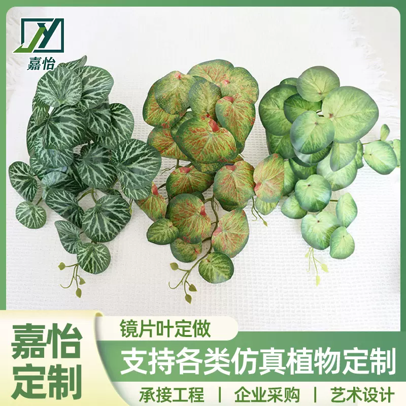 嘉怡定制镜片叶圆贝叶海棠壁挂仿真绿植 婚庆造景搭配装饰树彩芋