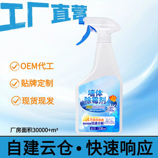 Wall Mildew Remover, Penetrating Anti-Mildew Spray, No Residue, Water Stain, Wall Corner Mildew Removal Household Cleaner