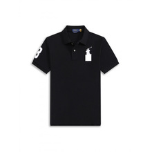 ��ʿ�ļ��¿�POLO����ʿ���R�˴̽����IPOLO�ļ��¿�RL�̄ն���T