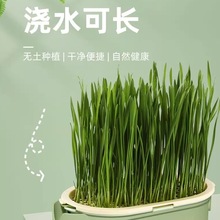 ؈؈仯ëëˮзN؈݌؈ݱ؈