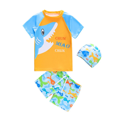 Children's swimwear set, unisex two-piece swimsuit for 1-5 year old kids, wholesale cartoon swimwear