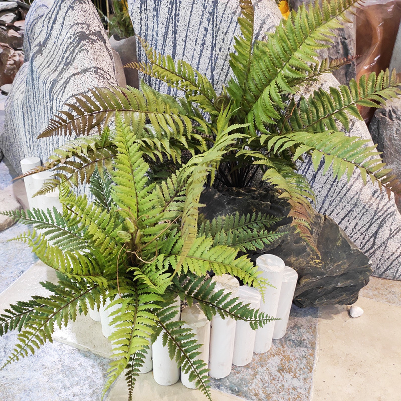 Helecho persa Bionic Wave Grass planta interior Greening paisaje decoración a juego diseño simulación planta helecho mango paquete