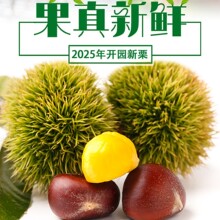 ���������r����ɽ�S������2025����؛�ЋD�����Fժ��ɽҰ��ë����