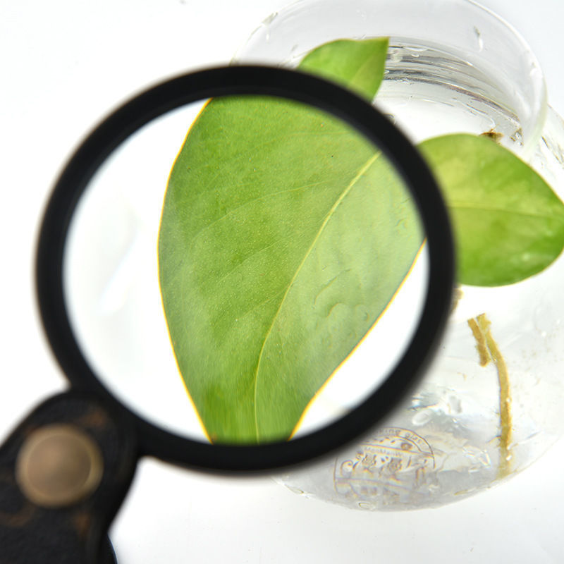 CF81108422A9F3E14653563C0910F6