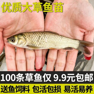 �ش�̖���~���a�~����^�����~���r���~����˻��~�r���絭ˮ�Bֳ