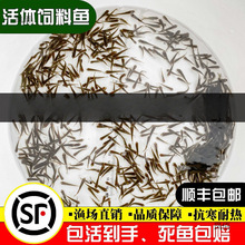 ι��������~С�~�Bֳ���~���~��ʳ��ϵ�ˮ�~���~·����~