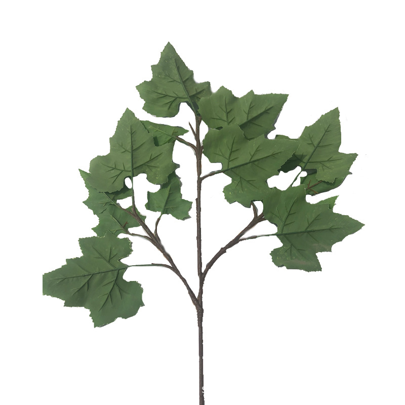 XRB-267 梧桐叶三叉枝.jpg