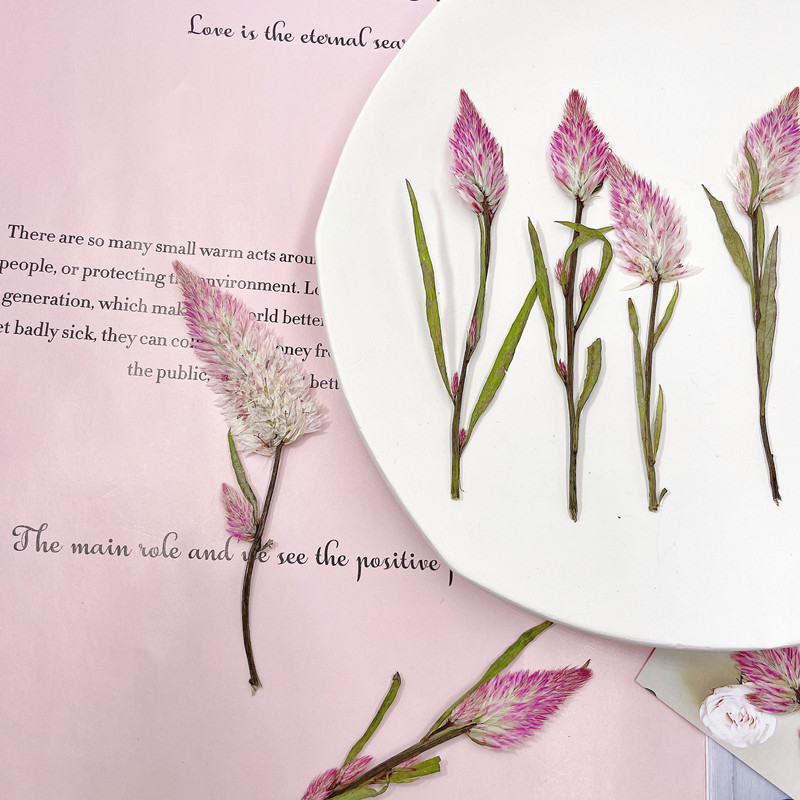 微信图片_20220919153848