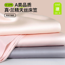 天丝床笠单件夏季冰丝床罩三件套床垫保护罩床单套全包2024年新款