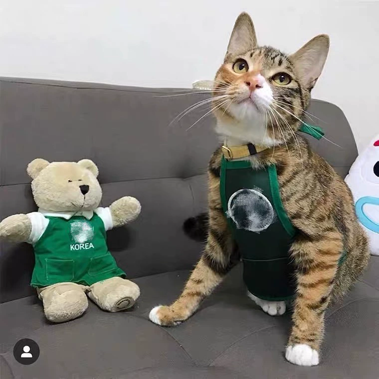 INS Южная Корея Милая Звезда одежда для папы собака живот фартук домашнее животное шляпа-поилка день рождения милый кот